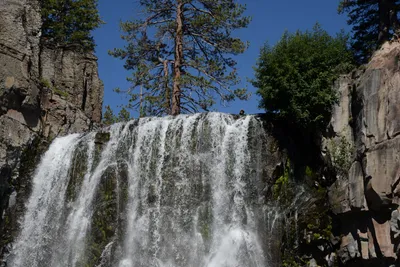 DSC_3828 (Large).JPG